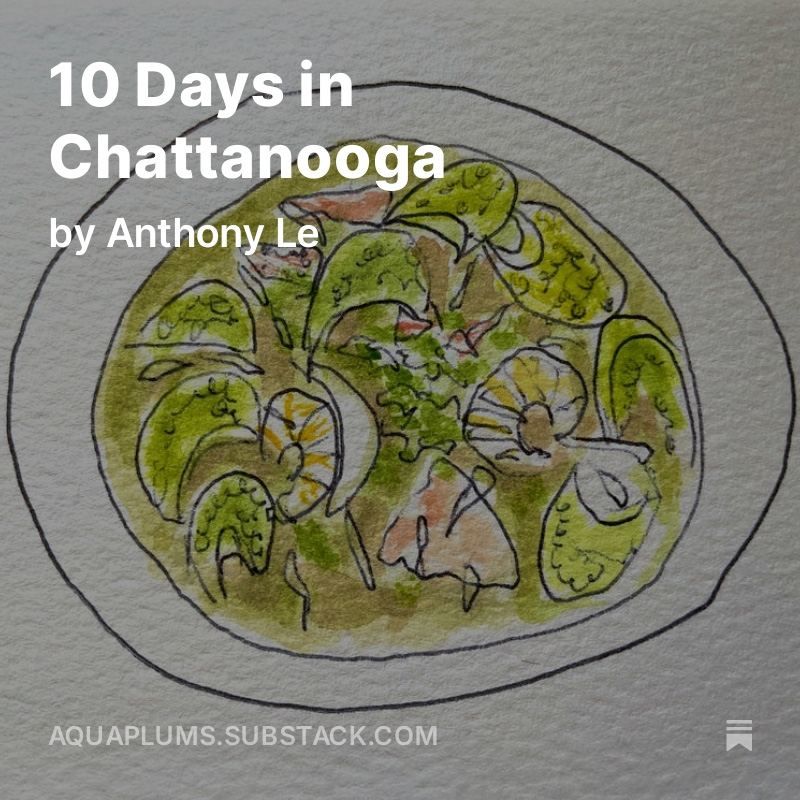 10 Days in Chattanooga