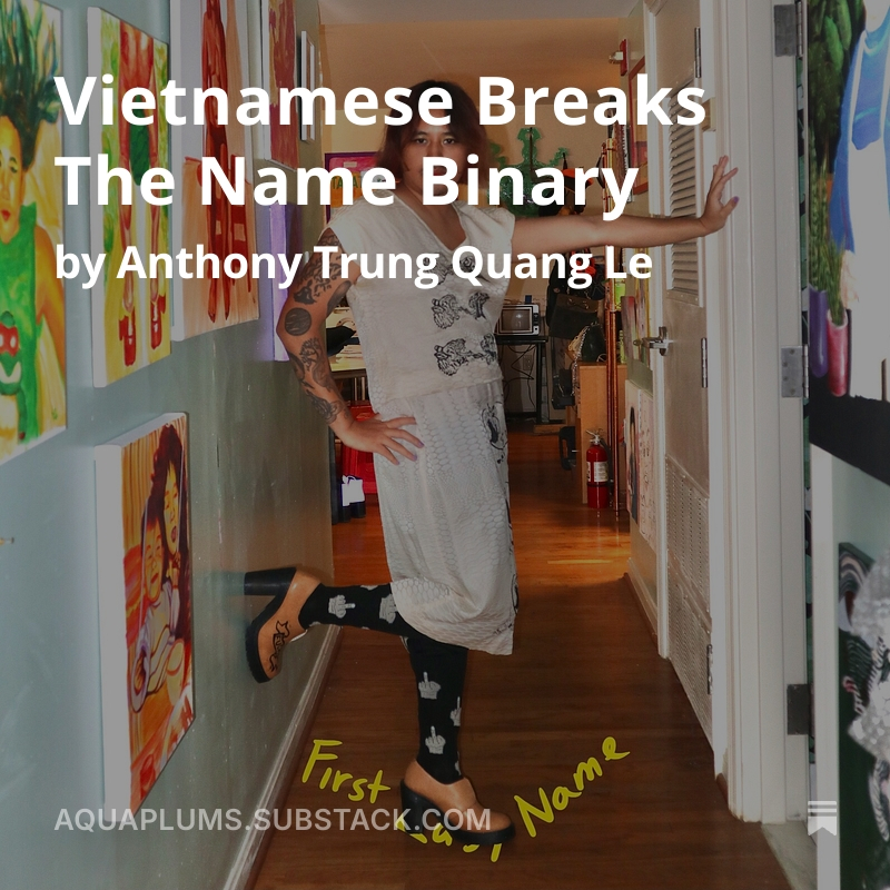 Vietnamese Breaks The Name Binary blog by Anthony Le