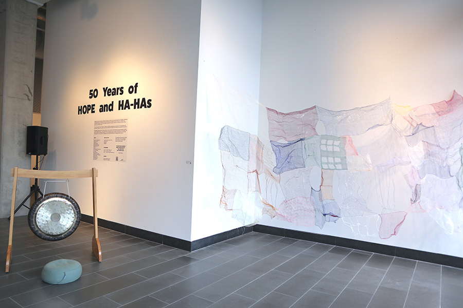 Installation photo of Phượng-Duyên Hải Nguyễn installation at DC Commission on the Arts and Humanities Gallery | Photo by Anthony Le