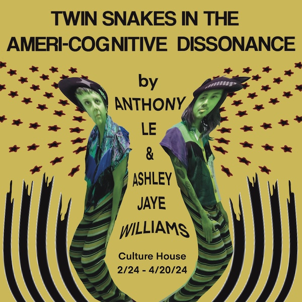 Twin Snakes in the Ameri-Cognitive Dissonance promo graphic